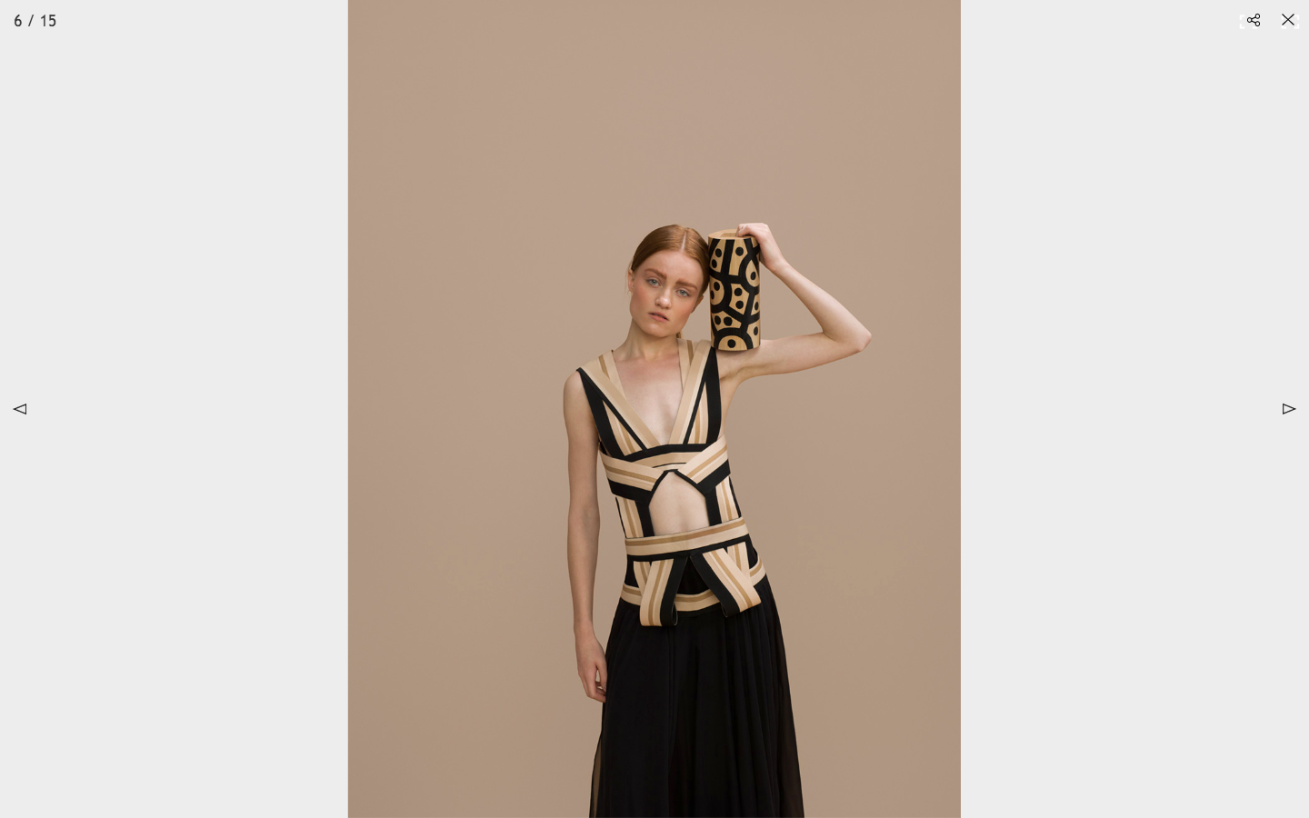 Jacek Kołodziejski Cameleon